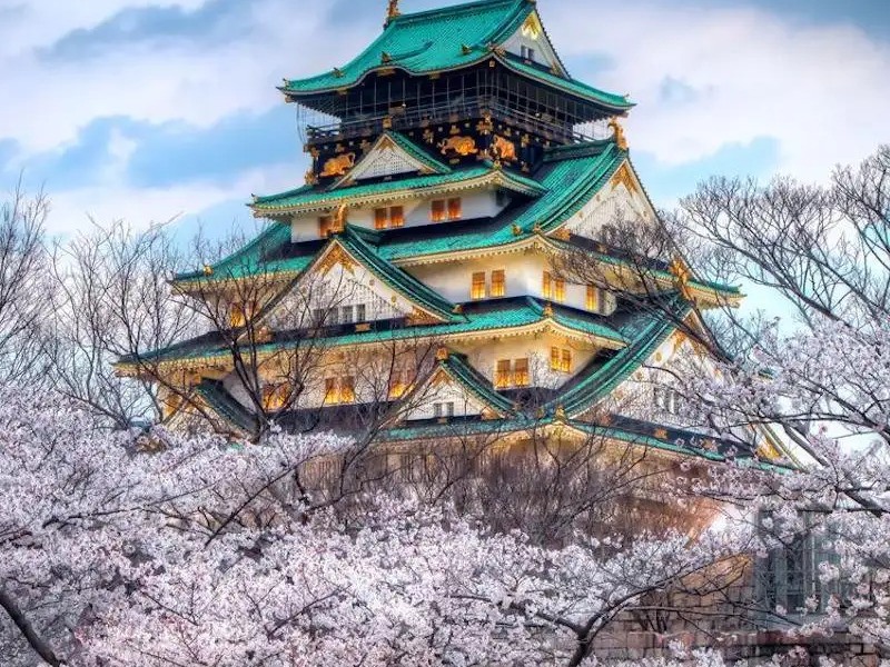 Lâu đài Osaka Castle,