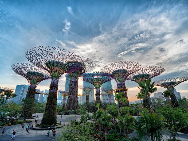 Khu vườn năng lượng Gardens by the Bay.