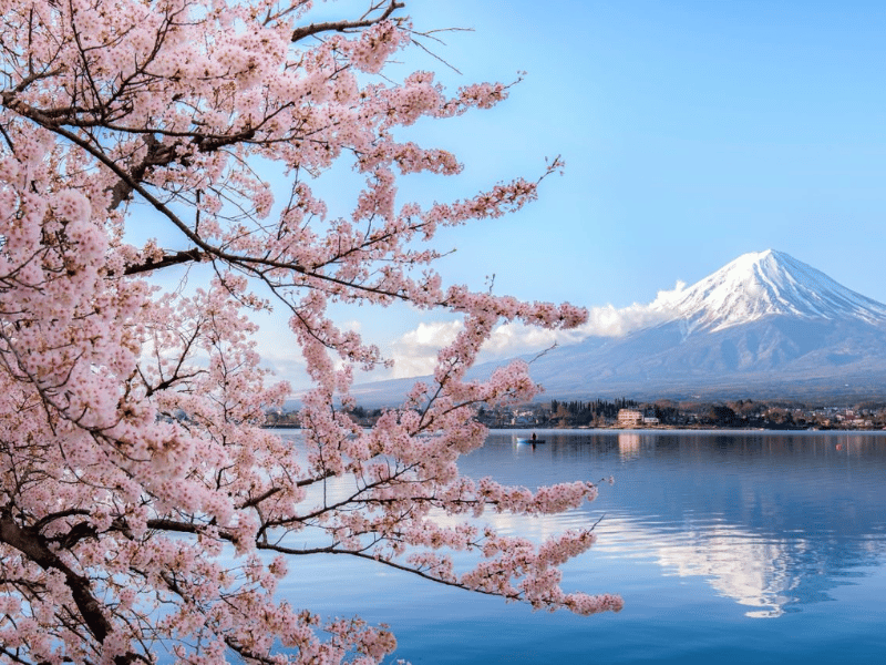 Du lịch Nhật Bản mùa xuân - Du lịch Nhật Bản mùa nào đẹp 