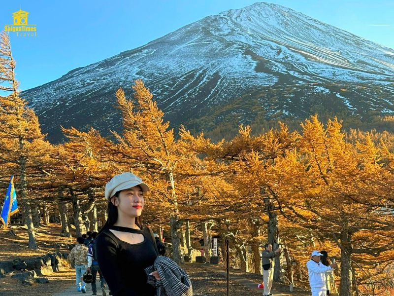 Núi Phú Sĩ trong Tour du lịch Nhật Bản