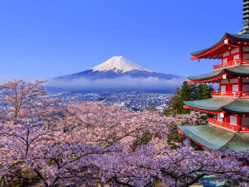 Núi Phú Sĩ - di lịch nhật bản mùa hoa anh đào