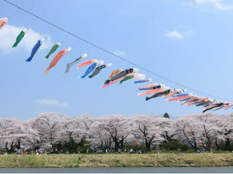 Lễ hội hoa anh đào Kitakami Tenshoji