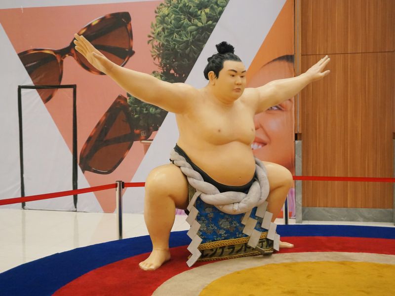 lễ hội sumo