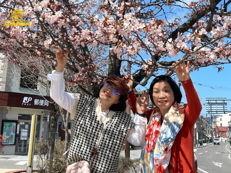 Ngắm hoa anh đào Nhật Bản - Du lịch Nhật Bản cần bao nhiêu tiền