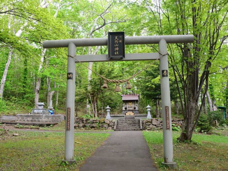 Torii mang phong cách Shinmei trên đỉnh núi Tengu (Thiên Cẩu) ở Otaru - Cổng Torri