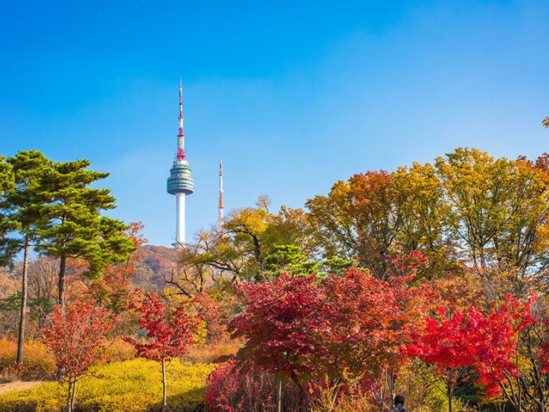 Tháp Namsan tràn ngập sắc thu - Địa điểm đặc trưng của Hàn Quốc - Đi du lịch Hàn Quốc mùa nào đẹp nhất