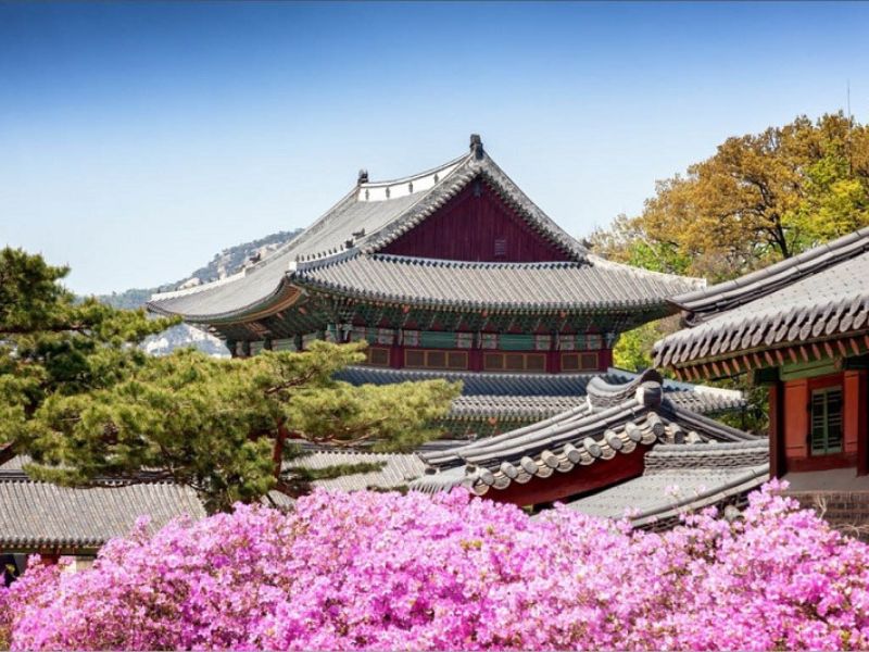 Nét đẹp nổi bật của cung điện Changgyeonggung khi vào xuân - Du lịch Hàn Quốc tháng 3