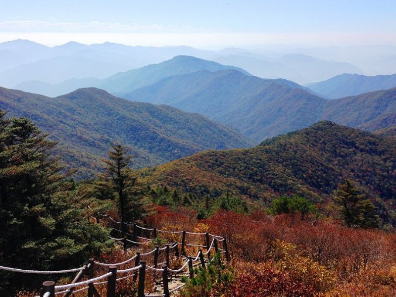 Ngọn núi Jirisan được thiên nhiên ban tặng sự thuần khiết và tự nhiên - Du lịch Hàn Quốc tháng 5