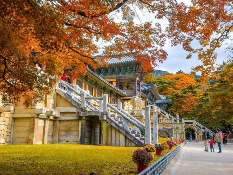 Hàn Quốc khi vào thu - Tour du lịch Hàn Quốc mùa thu