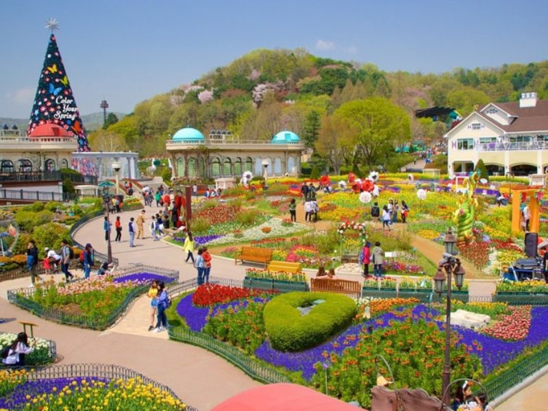 Everland – công viên giải trí hiện đại hàng đầu Hàn Quốc - Tour du lịch Hàn Quốc mùa thu