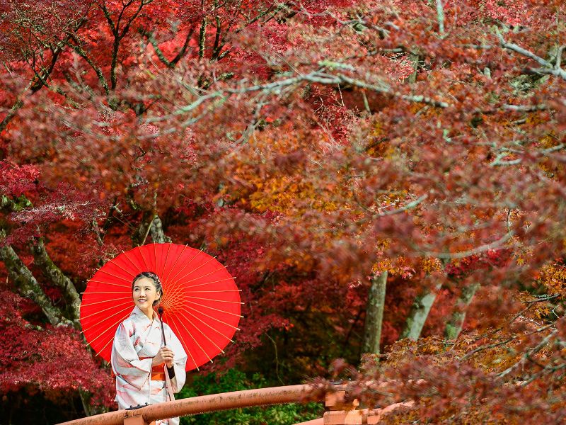 Khung cảnh du lịch Nhật Bản mùa thu