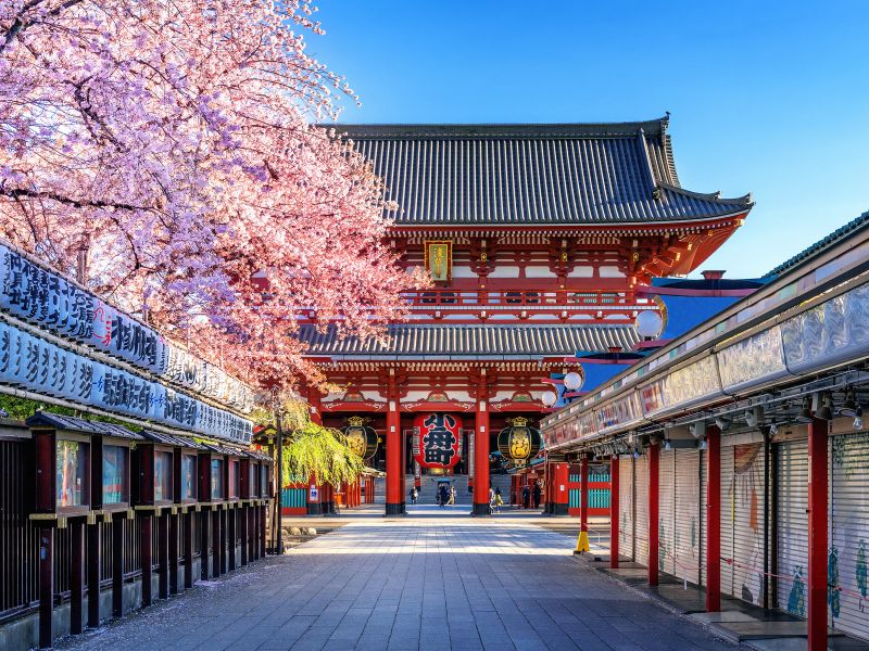 Ngôi đền Asakusa Kannon biểu tượng cho sự linh thiêng và lịch sử Tokyo