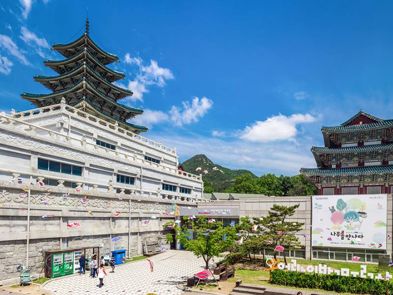 tour du lịch hàn quốc mùa hoa anh đào