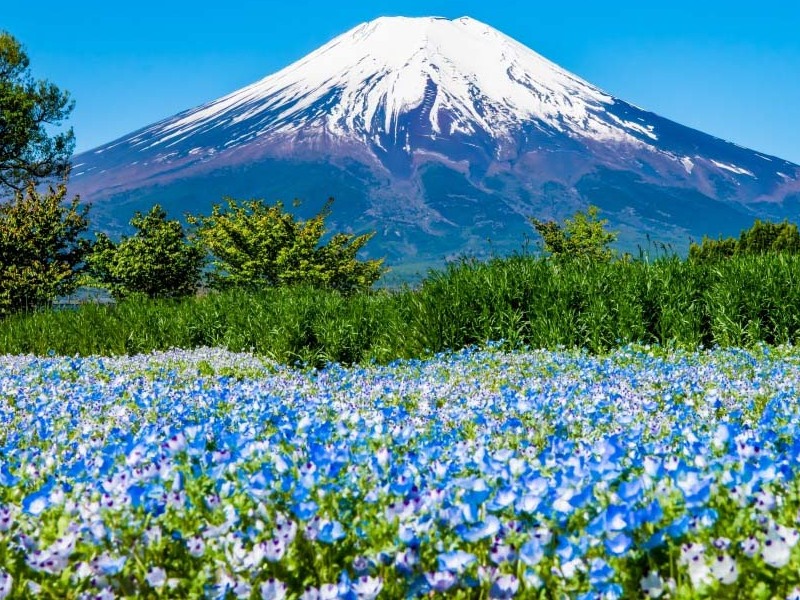 Hananomiyako Park