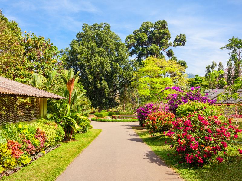 Vườn bách thảo Hoàng gia Victoria - Tour du lịch Úc Melbourne