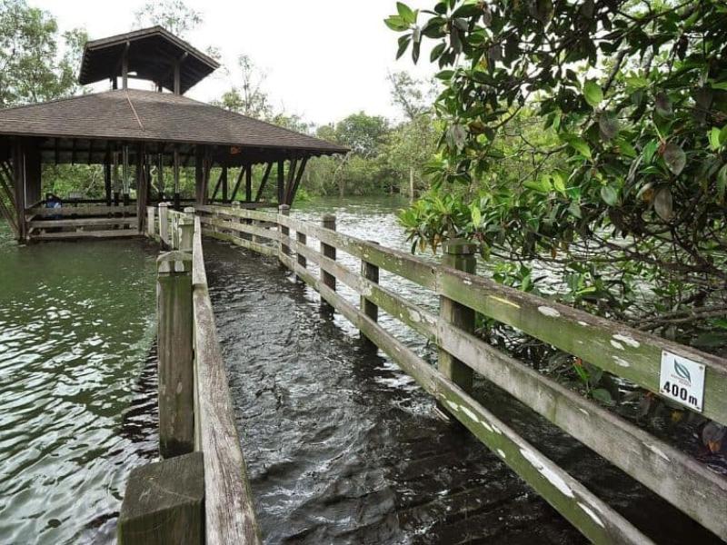 Khu bảo tồn thiên nhiên đất ngập nước Sungei Buloh