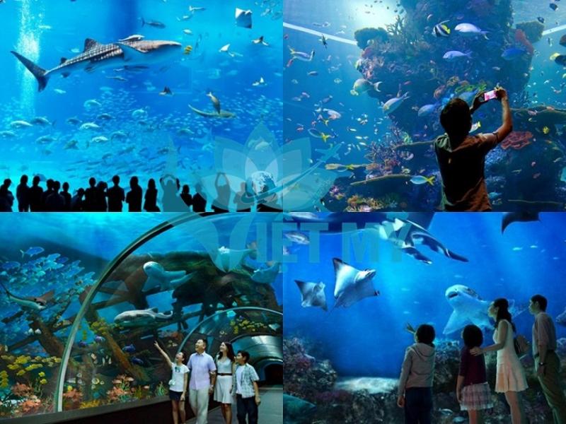 Thủy cung S.E.A Aquarium