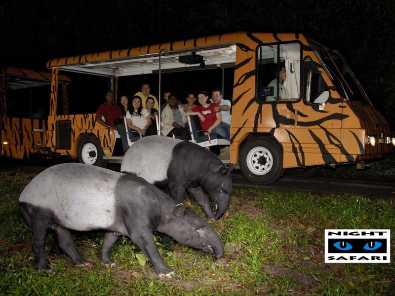 Trãi nghiệm xe buýt Sở thú Night Safari