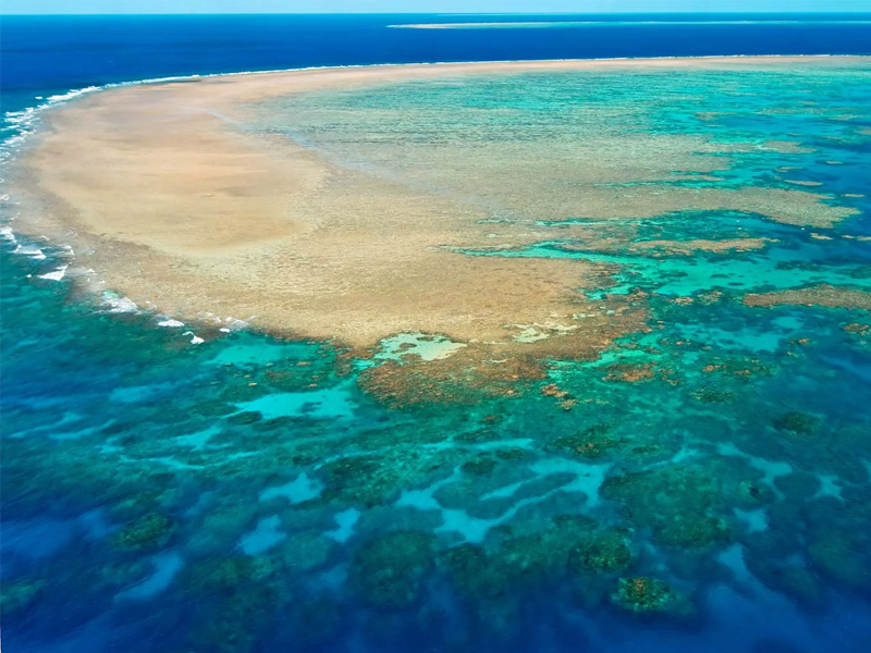 Công viên biển Great Barrier Reef