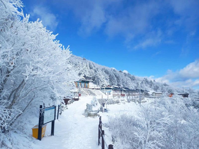 Núi tuyết Taebaek - Địa điểm nổi tiếng được nhiều người ghé thăm nhất mùa đông - hàn quốc có mấy mùa