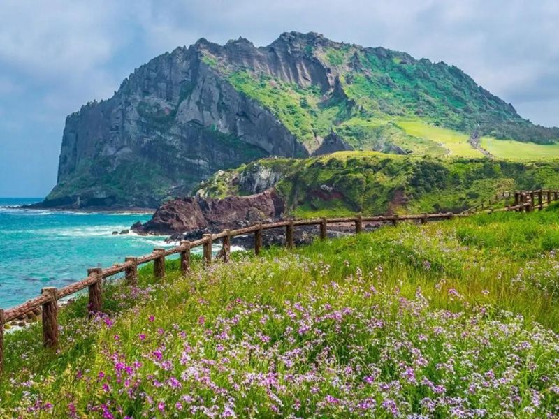 Đảo Jeju - Thiên đường du lịch với vẻ đẹp hoang sơ mộc mạc - hàn quốc có mấy mùa