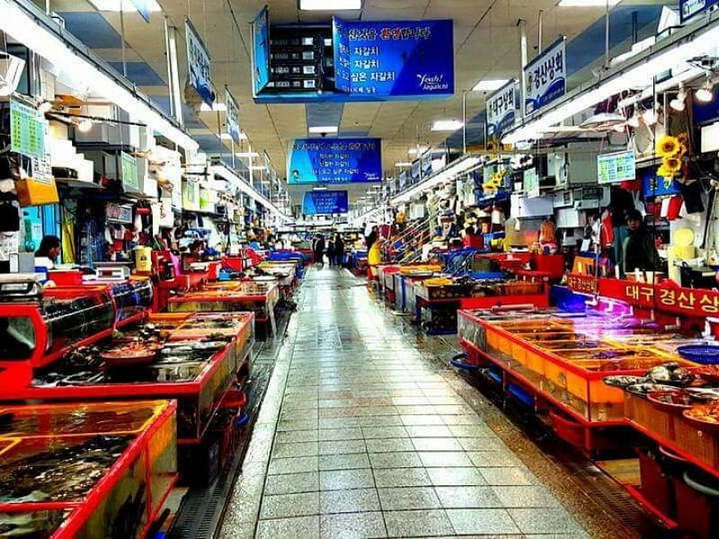 khu vực Jagalchi Market - Lịch trình du lịch Hàn quốc