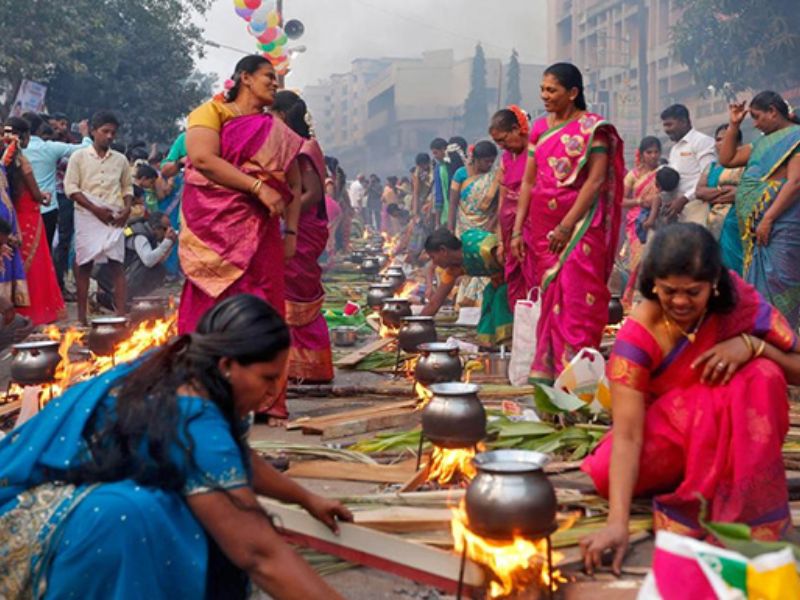 lễ hội Pongal