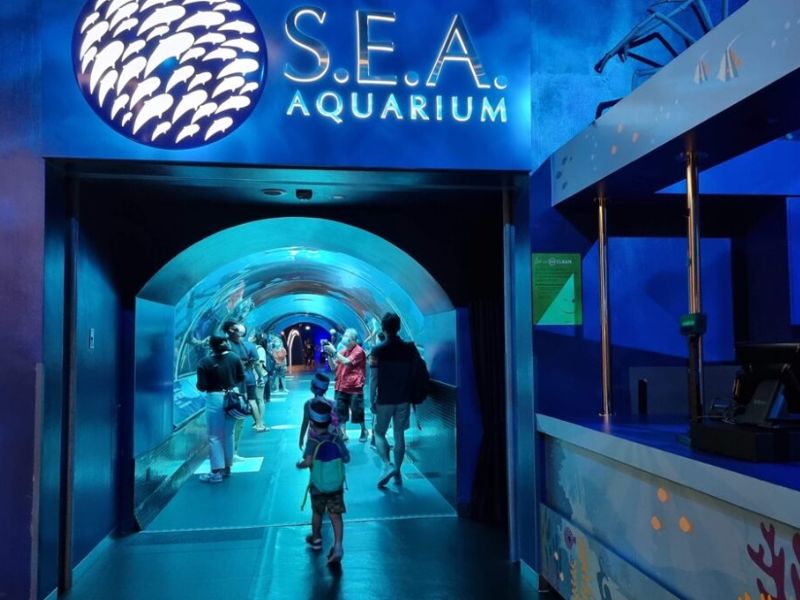 S.E.A Aquarium