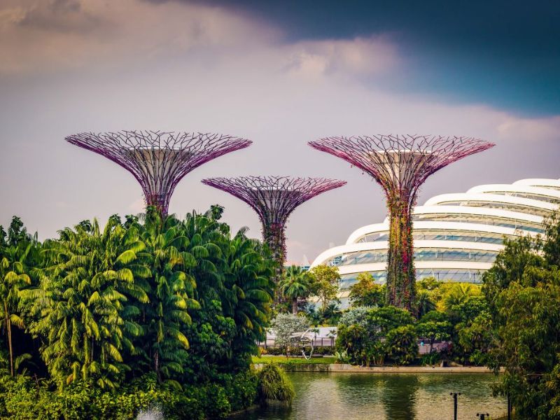 Gardens by the Bay