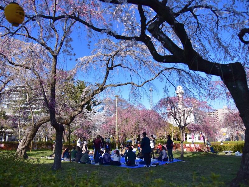 Công viên Tsutsujigaoka - Sendai Nhật Bản