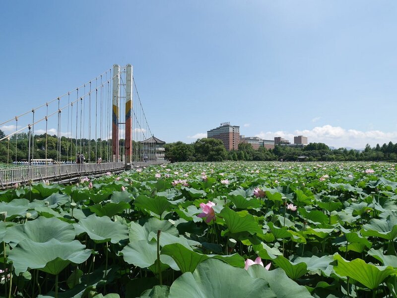 Jeonju Hàn Quốc