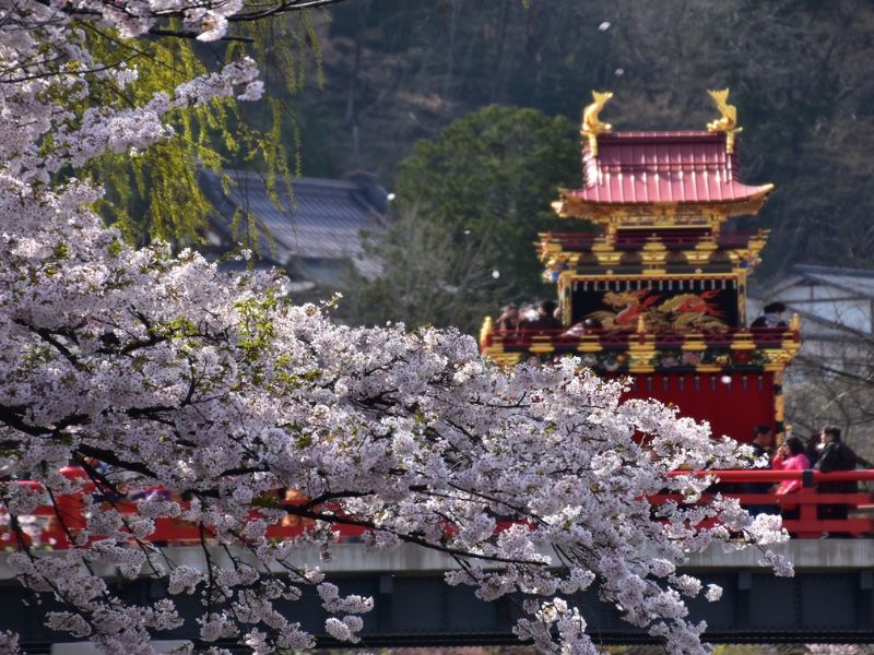 Lễ hội mùa xuân Takayama