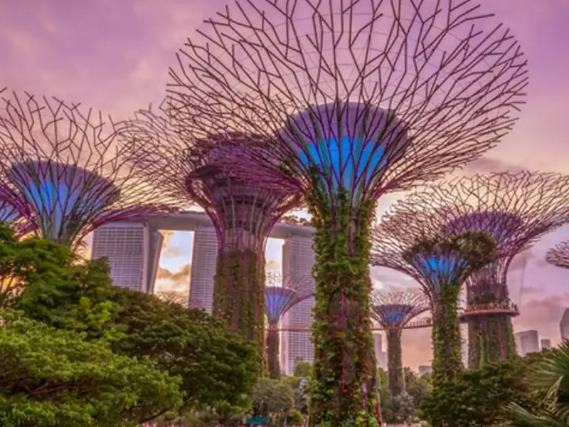 Gardens by the Bay