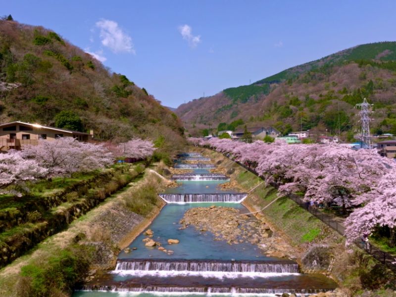 kinh nghiem du lich hakone