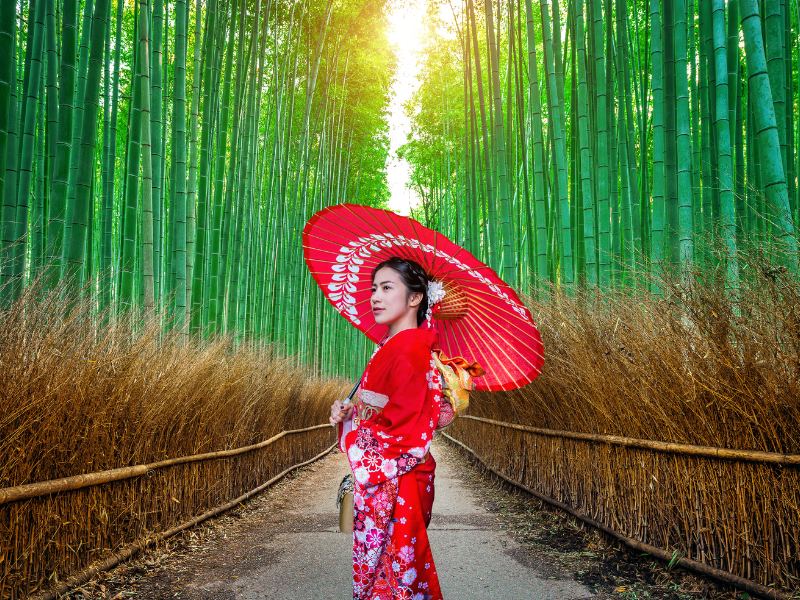 Mặc kimono và đi dạo trong rừng tre Sagano