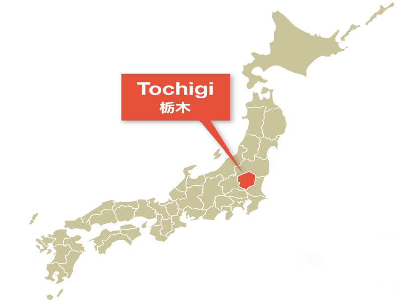 Tochigi Nhật Bản