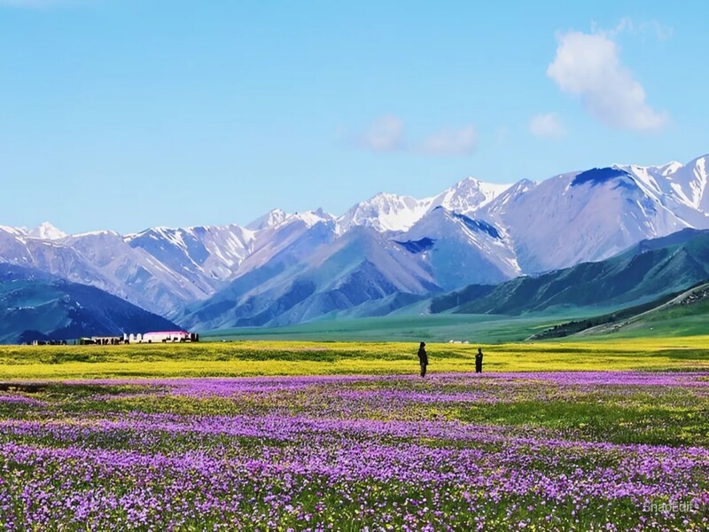 Tour du lịch Tân Cương 7 Ngày 6 Đêm