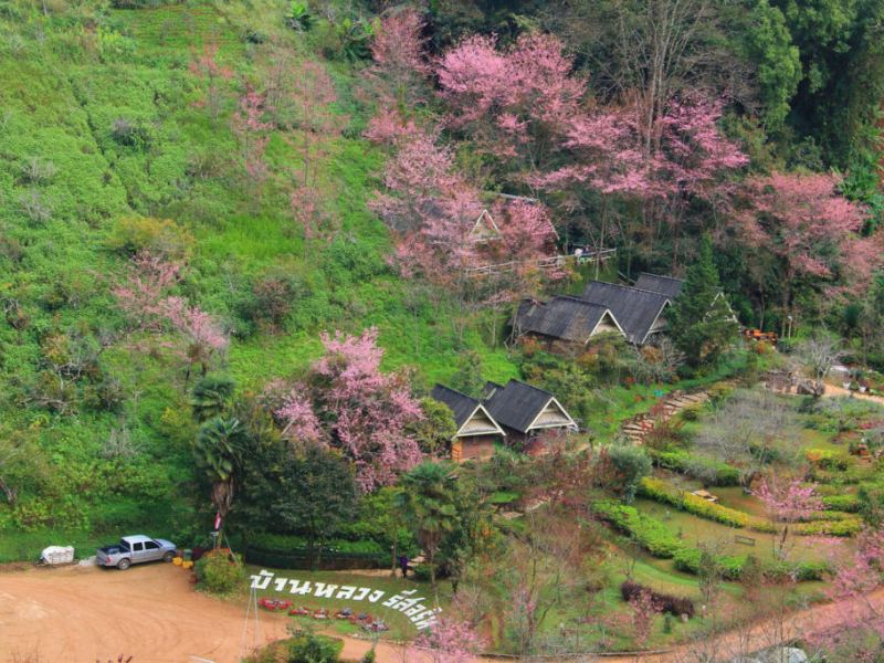 Baan Luang Resort địa điểm du lịch thái lan