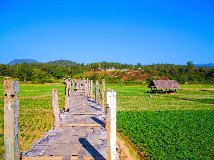 Cầu Su Tong Pae tour chiang mai thái lan