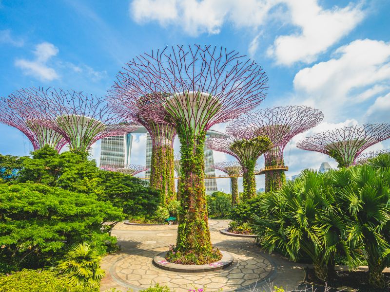 Siêu cây tại Bay South Gardens by the Bay tour Tết