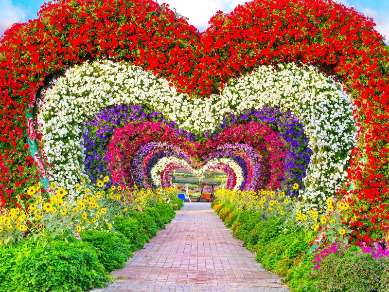 Miracle Garden - Du lịch Dubai tháng 12