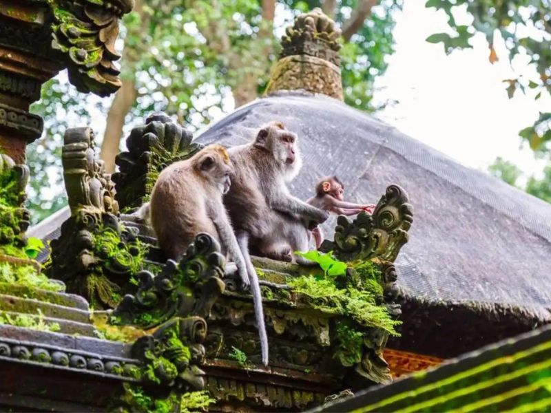 Địa điểm tham quan ở Bali