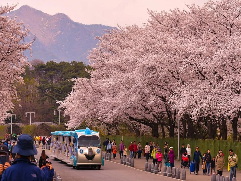 Lễ hội tháng 3