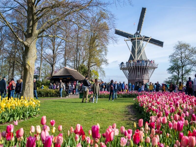 Vườn hoa Keukenhof tại Amsterdam Hà Lan