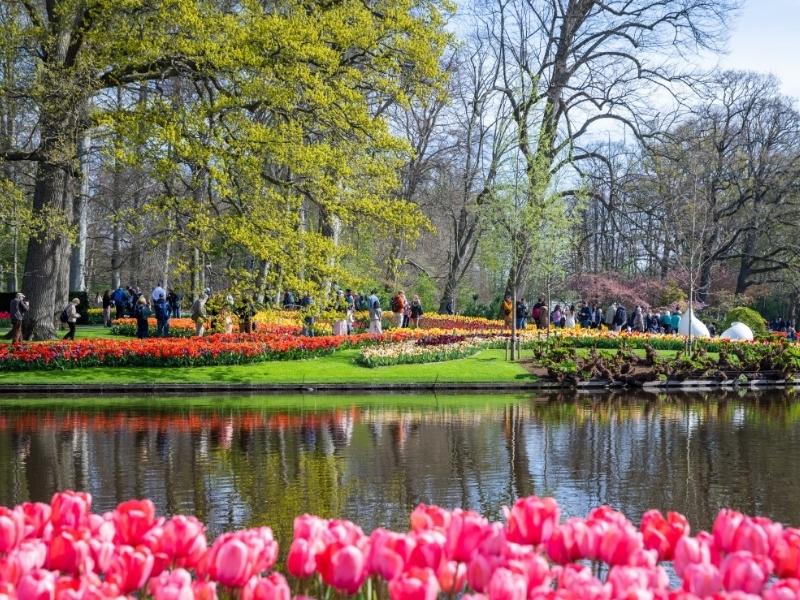 Vườn Hoa Keukenhof - Cảnh đẹp Hà Lan