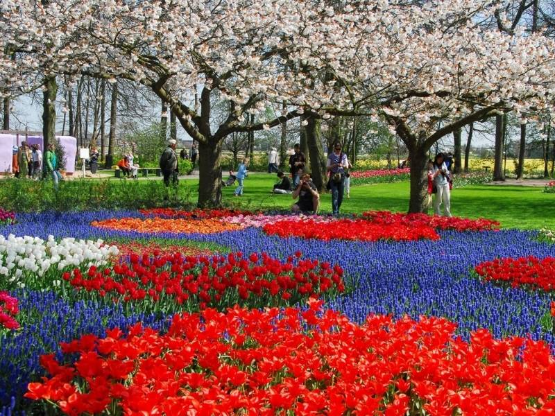 Công viên Keukenhof