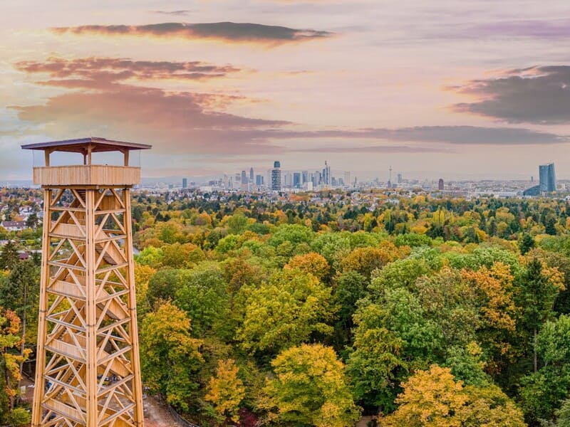 The Goethe Tower