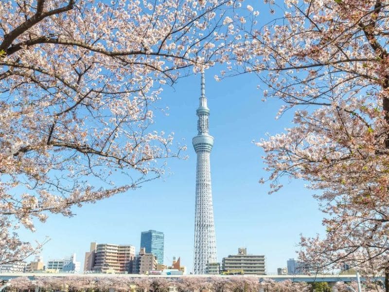 Tháp truyền hình Tokyo Sky Tree