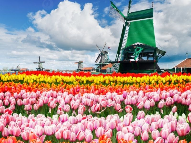 Keukenhof mùa hoa tulip