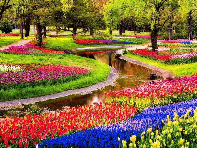 Vườn hoa Keukenhof và không gian xanh mát